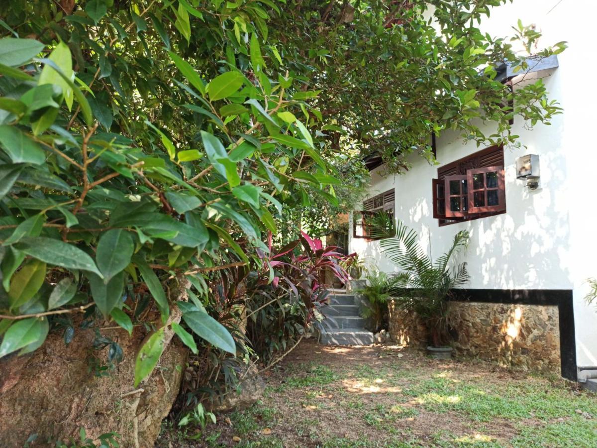 Eco Garden Hiriketiya Hotel Dickwella Exterior photo